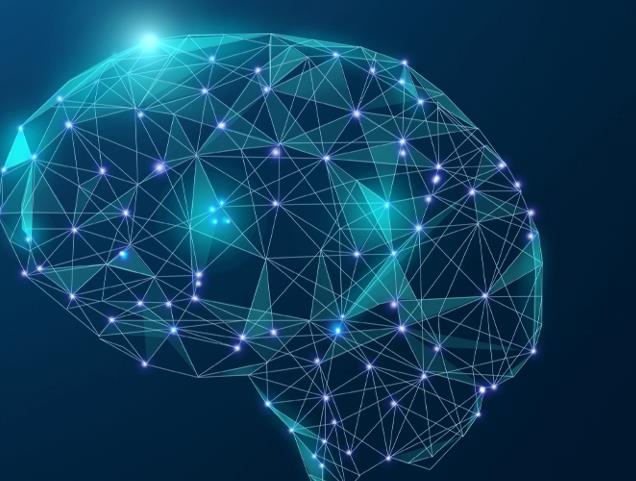 动物行为学软件到底是什么?